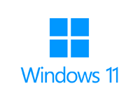 Max Speicher Windows 11